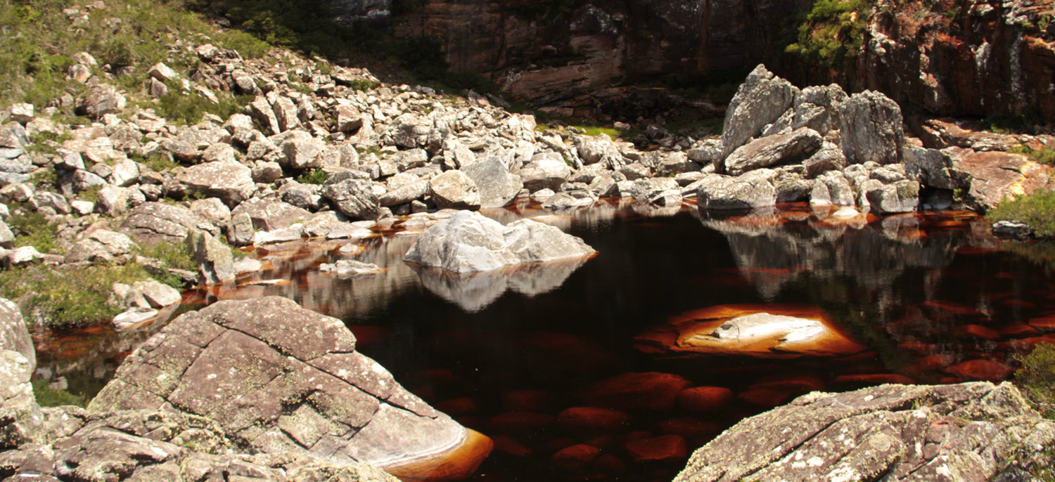 Riacho de águas cor de Coca-cola - Fotografia: Miguel Andrade